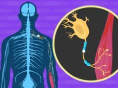 Sclérose latérale amyotrophique (SLA) Sclérose latérale amyotrophique