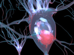 5 symptômes de la démence à corps de Lew