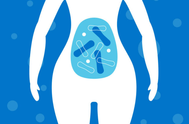 Les probiotiques pourraient-ils aider à perdre du poids?