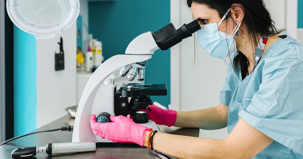 Qu est ce Qu un Rapport D histopathologie Santemedicals qu-est-ce-qu-un-rapport-d-histopathologie-santemedicals