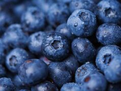 Principaux avantages de la vitamine K