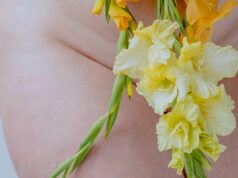 Diagramme, image et fonctions des organes génitaux féminins