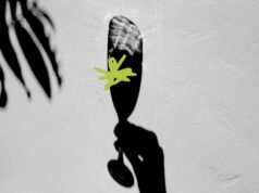 Découvrez comment le vin sans alcool peut améliorer l’élasticité de votre peau